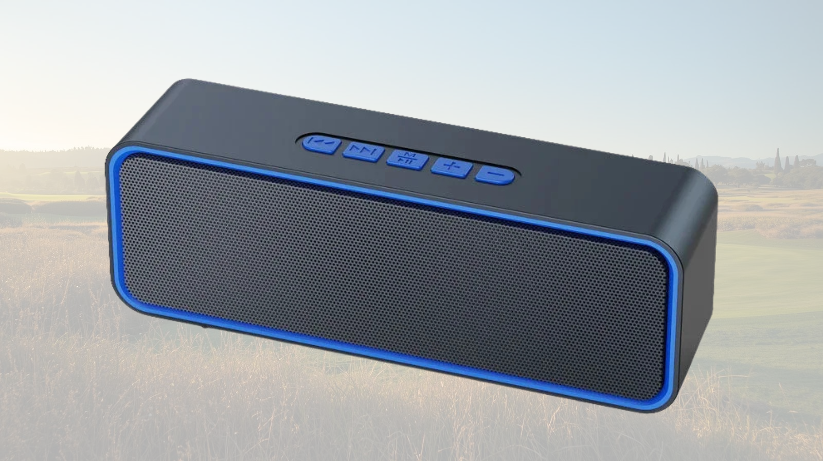 Golf Cart Speaker (Box)